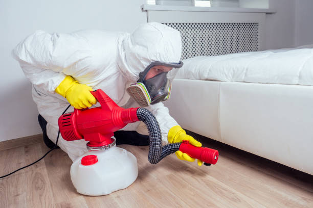 Pest Prevention Services in Front Royal, VA