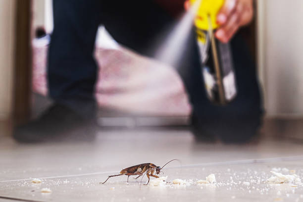 Trusted Front Royal, VA Pest Control Experts